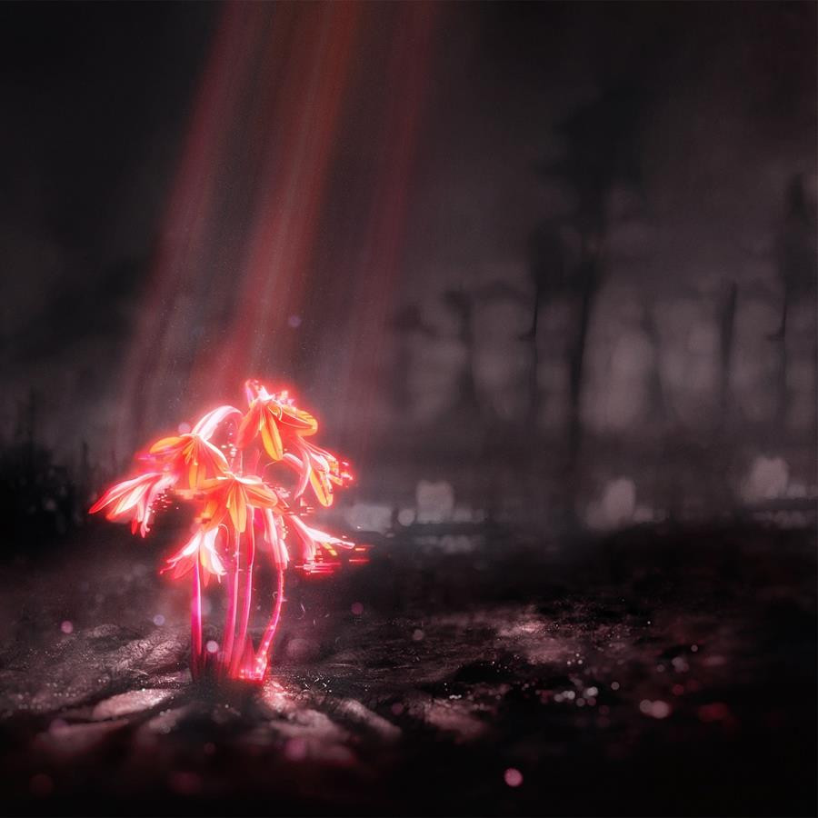 A Kiss for the Whole World par Enter Shikari