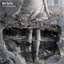 The Bride Says No par Nad Sylvan