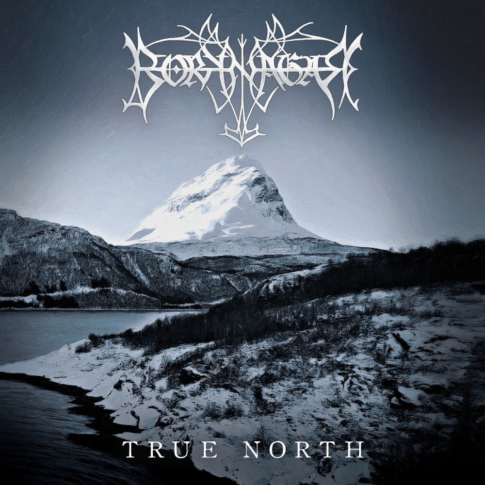 Album True North par BORKNAGAR
