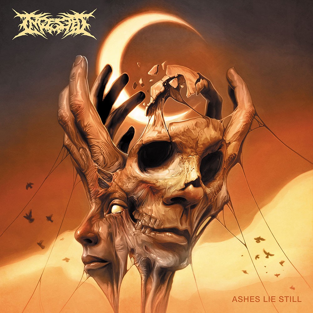 Ashes Lie Still par Ingested