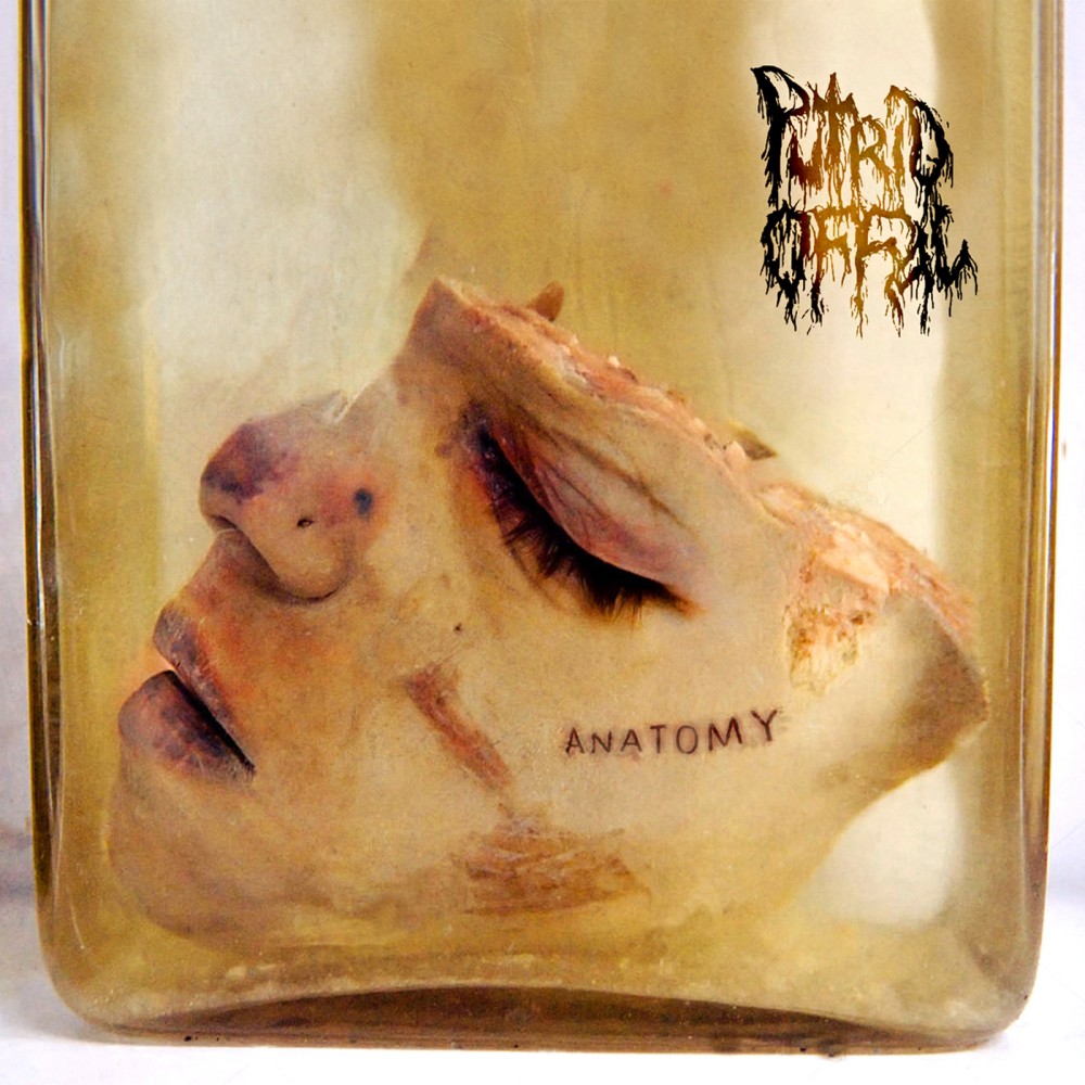 Anatomy par Putrid Offal
