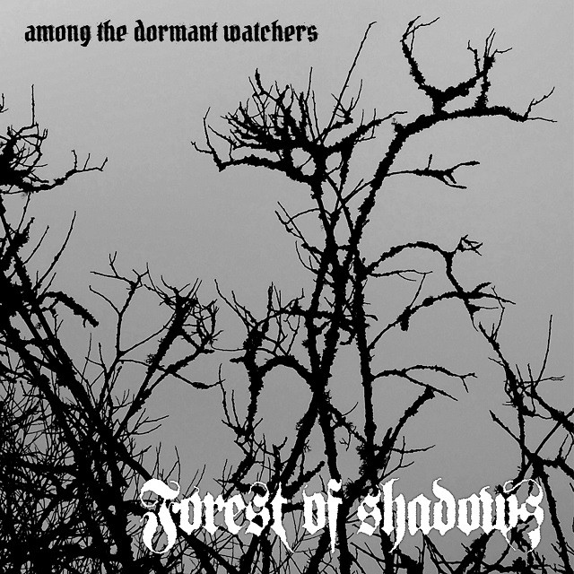 Album Among The Dormant Watchers par FOREST OF SHADOWS