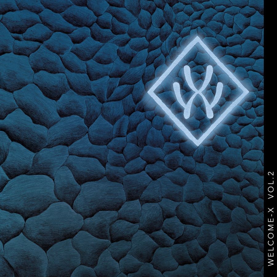 Interview avec Phil Bussonnet de WELCOME X pour la sortie de " VOL.2" ! 