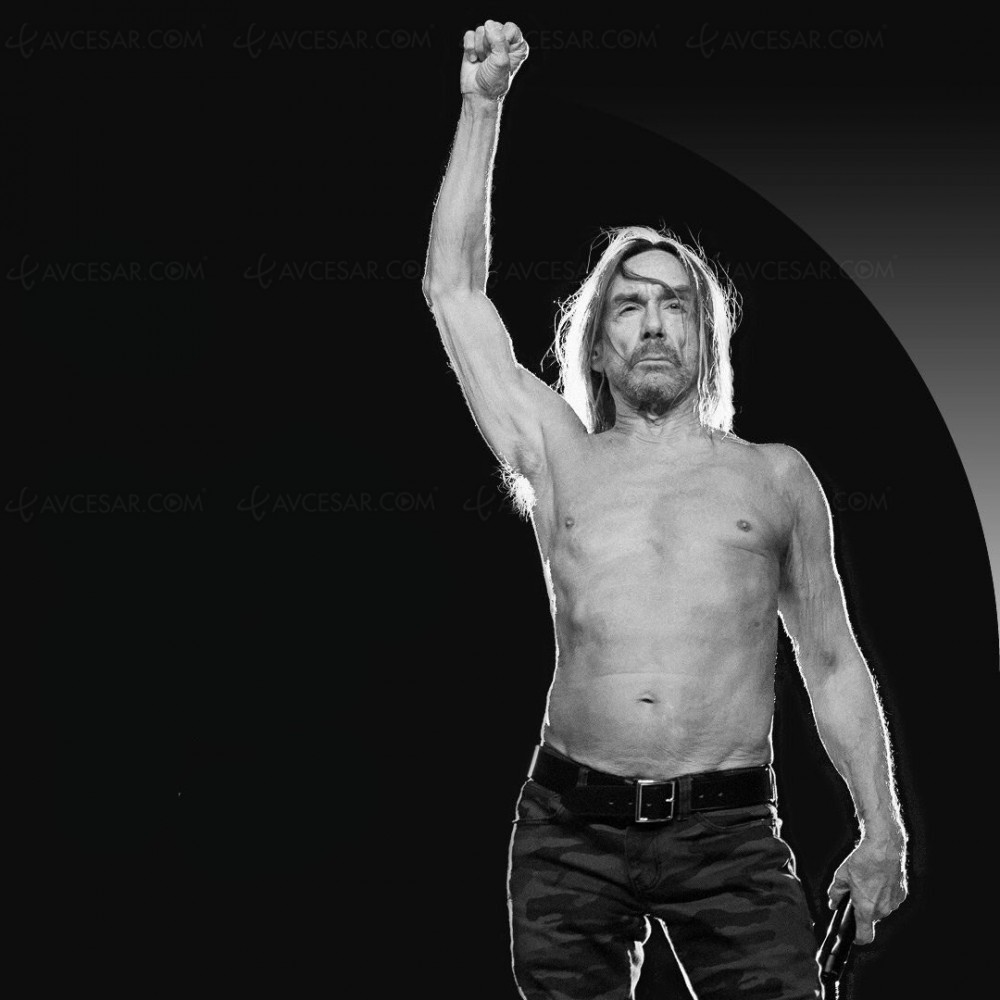 Iggy Pop  par Iggy Pop 