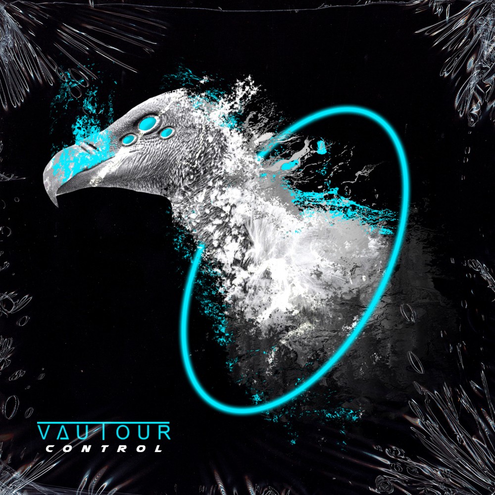 Control & Disorder par VAUTOUR