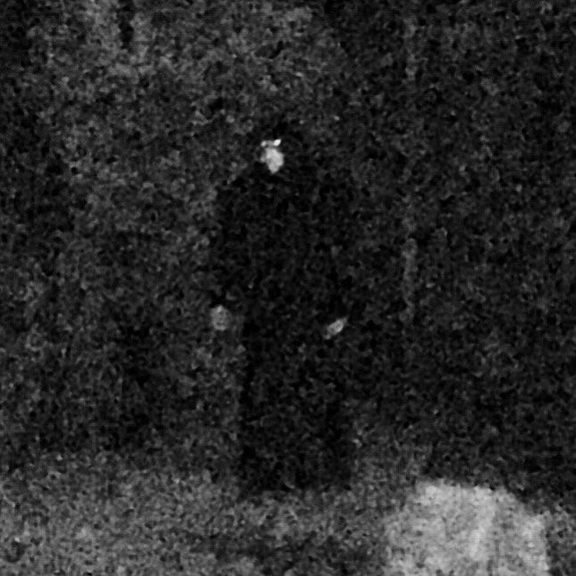 Revenant Marquis par Revenant Marquis