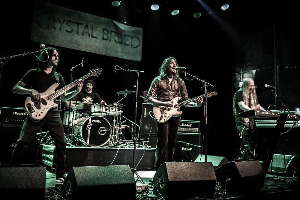 Crystal Breed par Crystal Breed