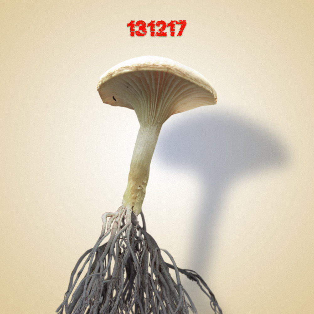 131217 par Sex Shop Mushrooms