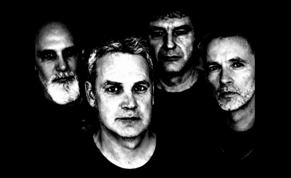 Humans Why ? par Humans Why ?