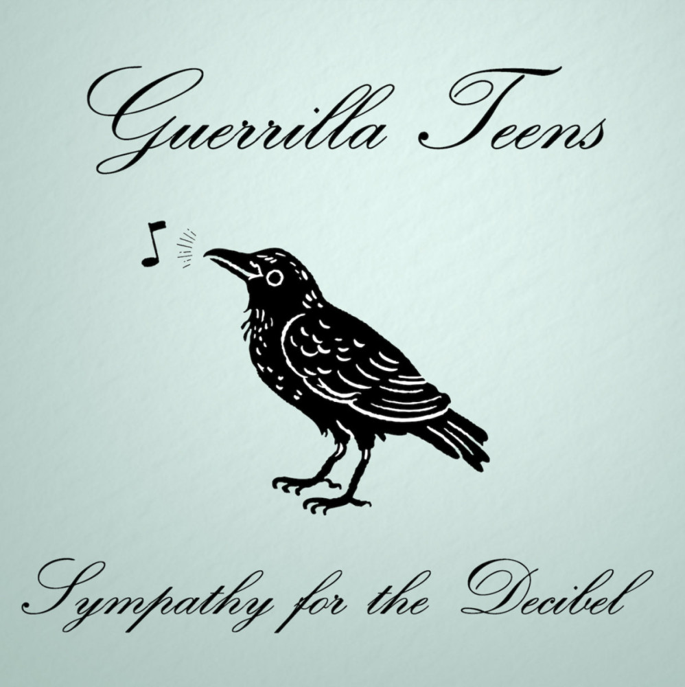 Sympathy for the Decibel par Guerrilla Teens