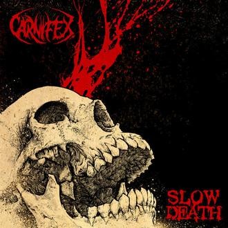 CARNIFEX, interview audio 