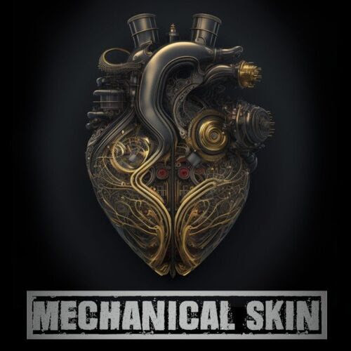 Where The Promo Is RETOUR sur : MECHANICAL SKIN et leur EP 
