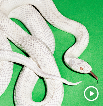 Deftones dévoile 'milk of the madonna', le second extrait de l'album 