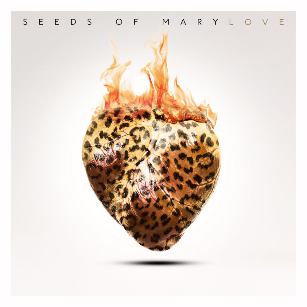 Seeds Of Mary : Un nouveau clip live pour le titre 'FIRE IS BRIGHT, FIRE IS CLEAN' 