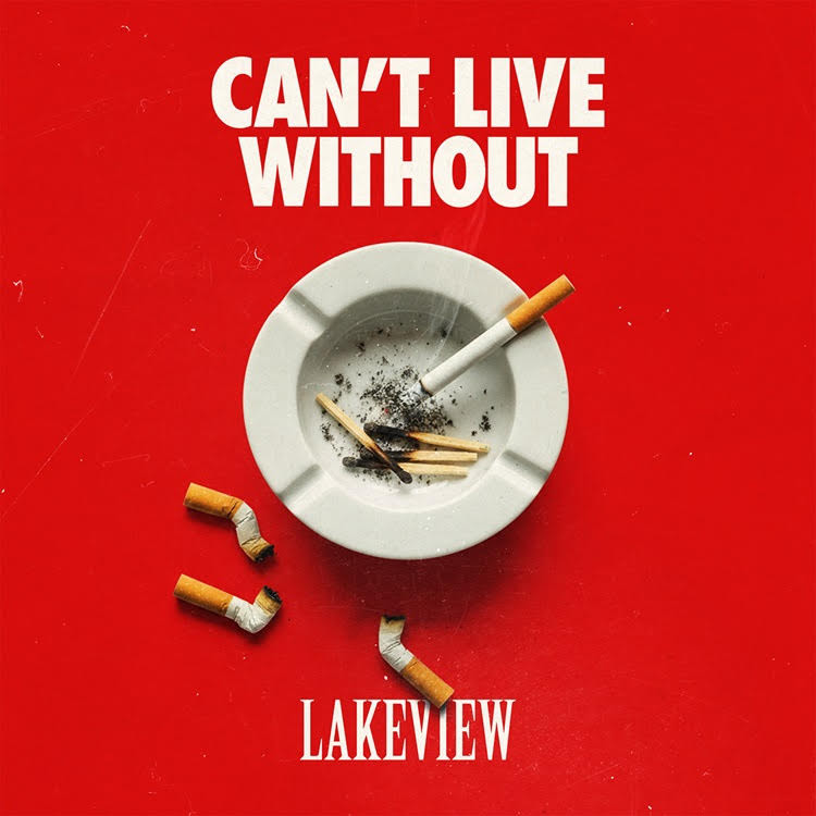 LAKE VIEW, nouveau single du plus metal