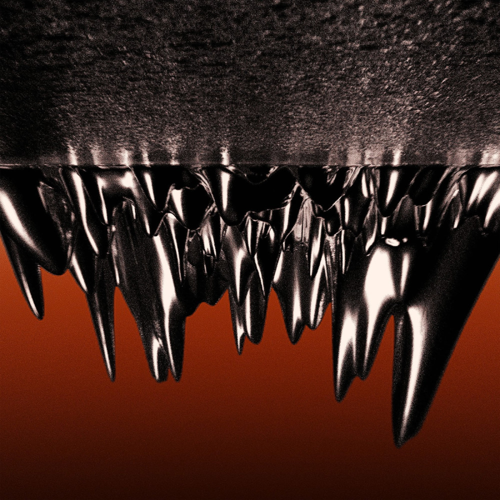 Vain Valkyries annonce son deuxième album 