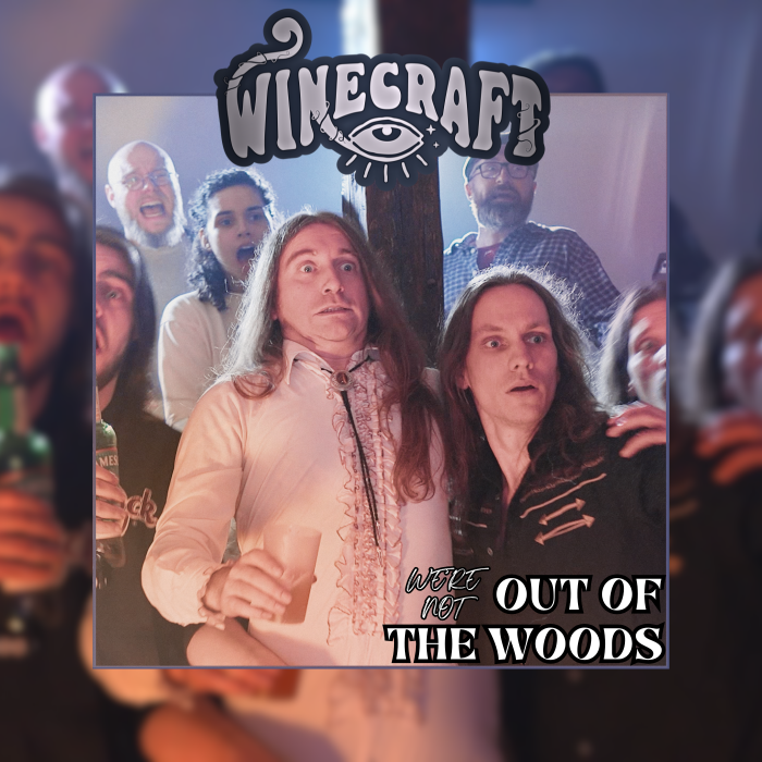 Winecraft : Le quatuor strasbourgeois dévoile son nouveau clip '(We're not) Out of the Woods' 