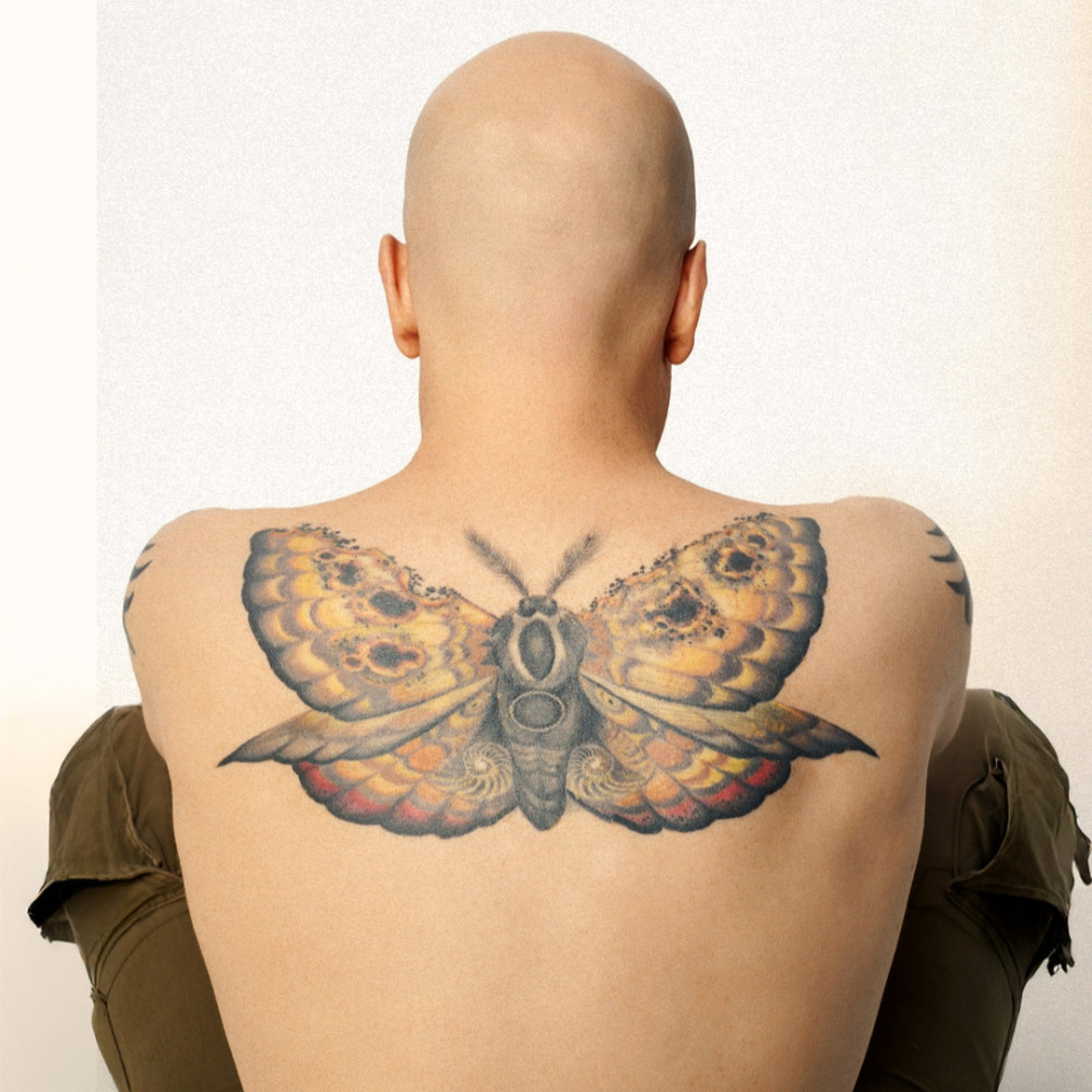 Devin Townsend : 