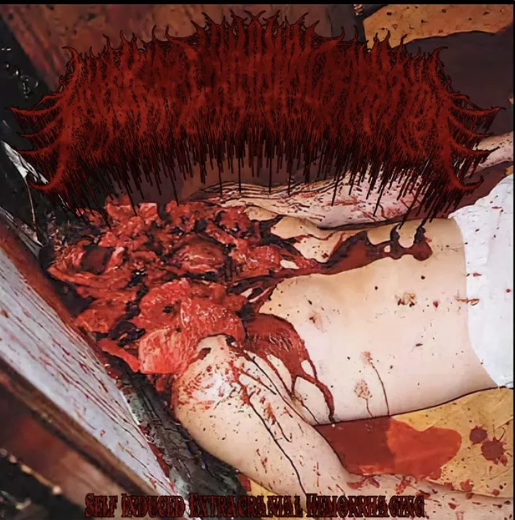 NOUVEL ALBUM / Floccinaucinihilipilification – 
