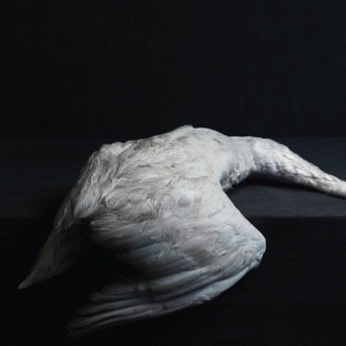 AMENRA - MASS VI en streaming intégral avant sa sortie officielle ce vendredi 20 octobre. 
