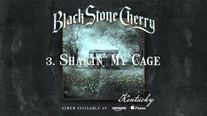 BLACK STONE CHERRY nouvelle vidéo ! 