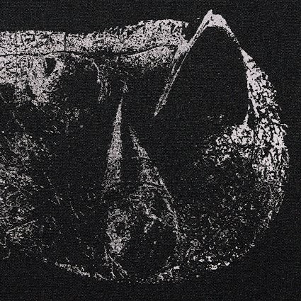 Demon Head : Nouvel album " Viscera " le 29 janvier 2021! 