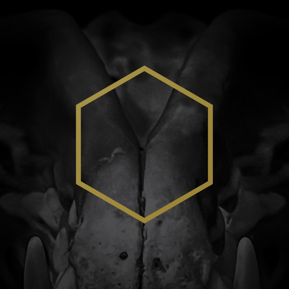Lustmord & Bohren und der Club of Gore : Le titre "Plateau" en écoute 