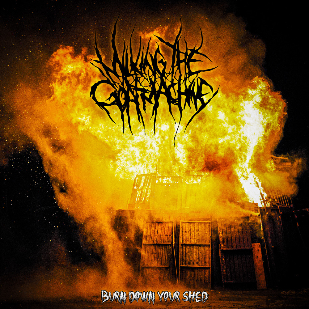 Milking The Goatmachine : 'Burn Down Your Shed' et "Back From The Goats" en vinyle ! 