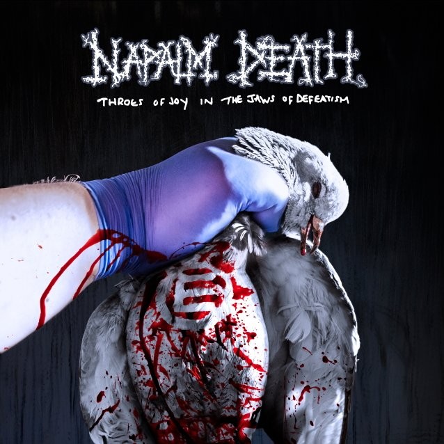 Napalm Death publie un clip pour sa nouvelle chanson "A Bellyful Of Salt And Spleen". 