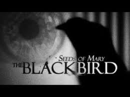 SEEDS OF MARY : Premier extrait de leur nouvel album \'\' BLACKBIRD\'\'! 