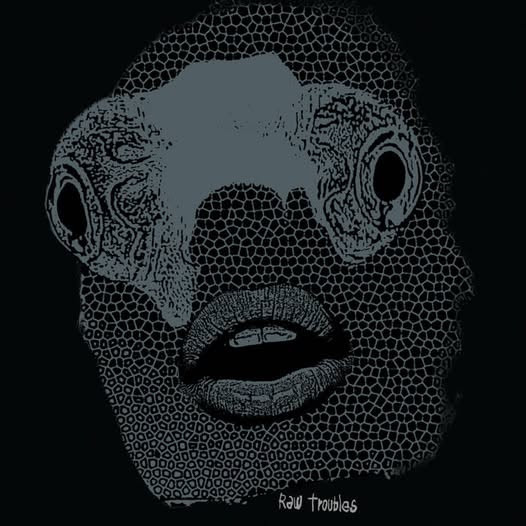 SMOKING PISTOLS : Leur album "Raw Troubles" est disponible 