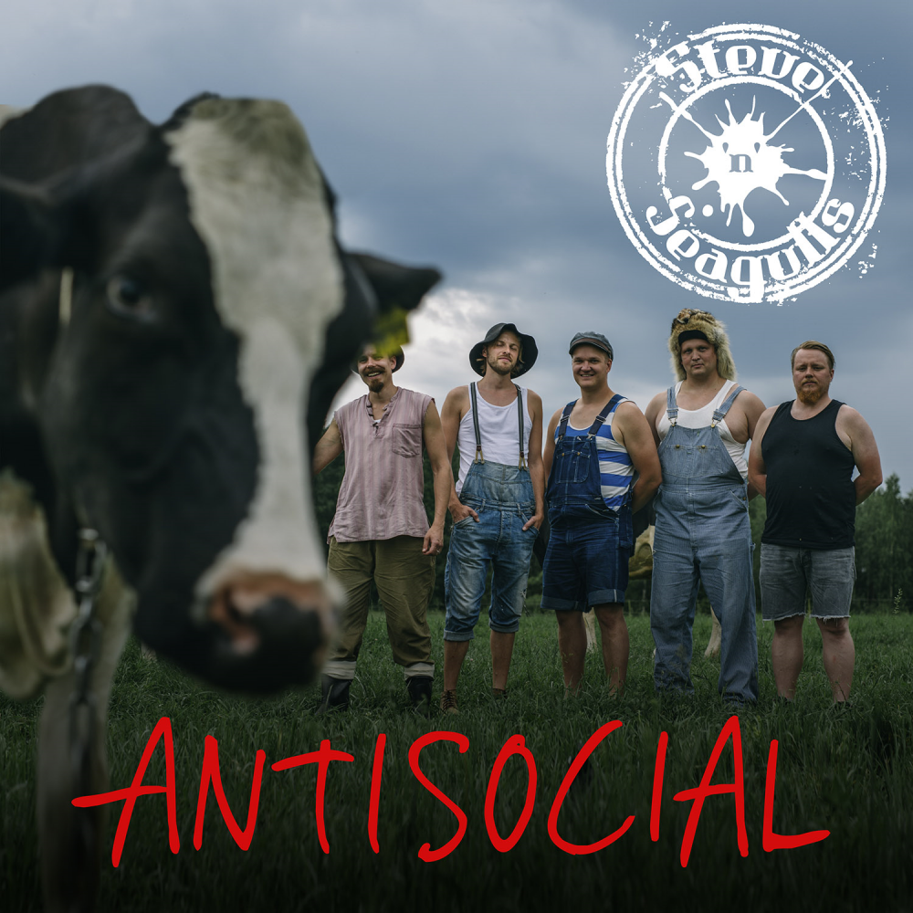 STEVE 'n' SEAGULLS reprend \'\'Antisocial\'\'... en français... et au banjo... Cocoricotour en novembre ! 