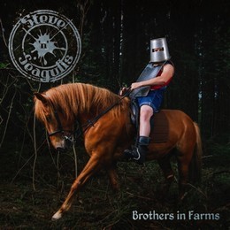 STEVE'N'SEAGULLS, détails du nouvel album ! 