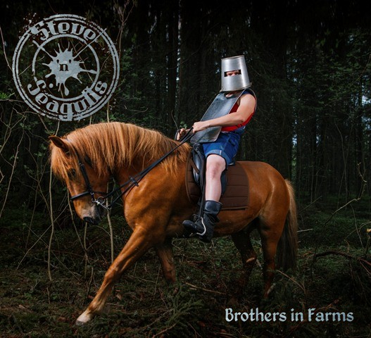 STEVE'N'SEAGULLS, leur nouvel album sort vendredi ! Ecoutez leur version bluegrass de 