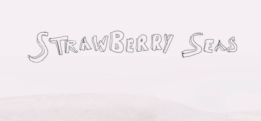 Strawberry Seas, nouveau clip vidéo ! Album en septembre ! 